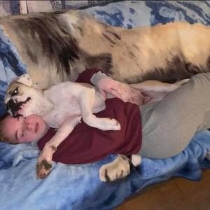 Meet your Posher, Ella